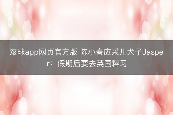 滚球app网页官方版 陈小春应采儿犬子Jasper:假期后要去英国粹习