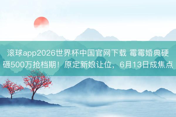 滚球app2026世界杯中国官网下载 霉霉婚典硬砸500万抢档期!原定新娘让位,6月13日成焦点