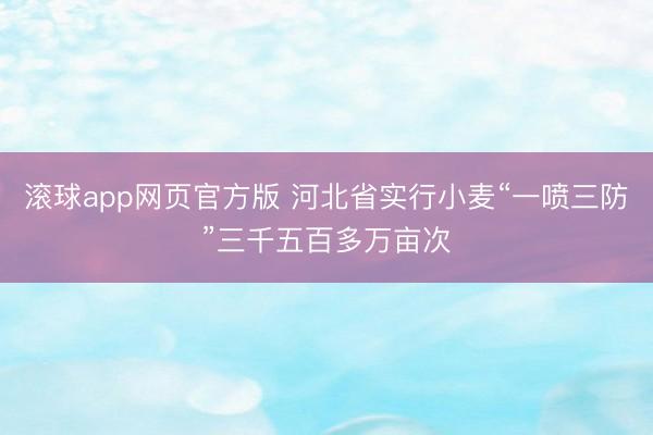 滚球app网页官方版 河北省实行小麦“一喷三防”三千五百多万亩次