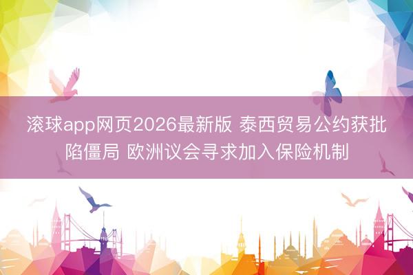 滚球app网页2026最新版 泰西贸易公约获批陷僵局 欧洲议会寻求加入保险机制