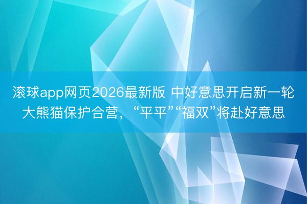 滚球app网页2026最新版 中好意思开启新一轮大熊猫保护合营,“平平”“福双”将赴好意思